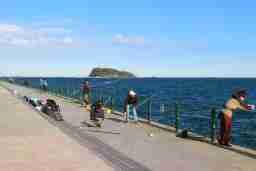 釣り部：横須賀海辺釣り公園で釣行しました&nbsp;